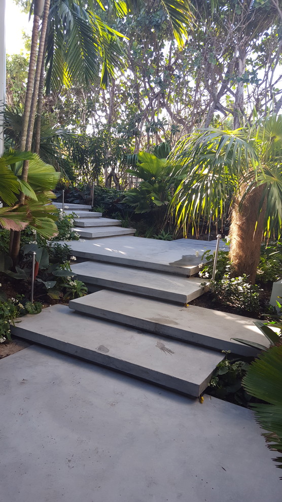 Großer Moderner Garten hinter dem Haus mit direkter Sonneneinstrahlung in Miami