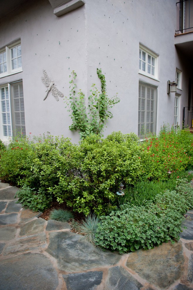Immagine di un giardino xeriscape classico esposto a mezz'ombra dietro casa in primavera con pavimentazioni in pietra naturale