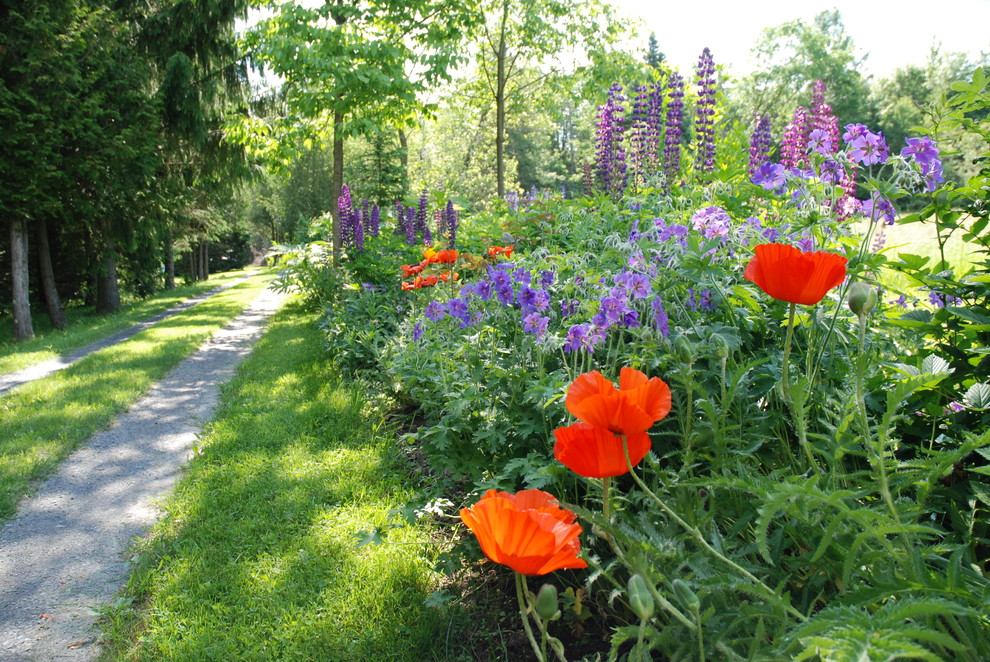 モントリオールにある低価格の広いヴィクトリアン調のおしゃれな庭の写真
