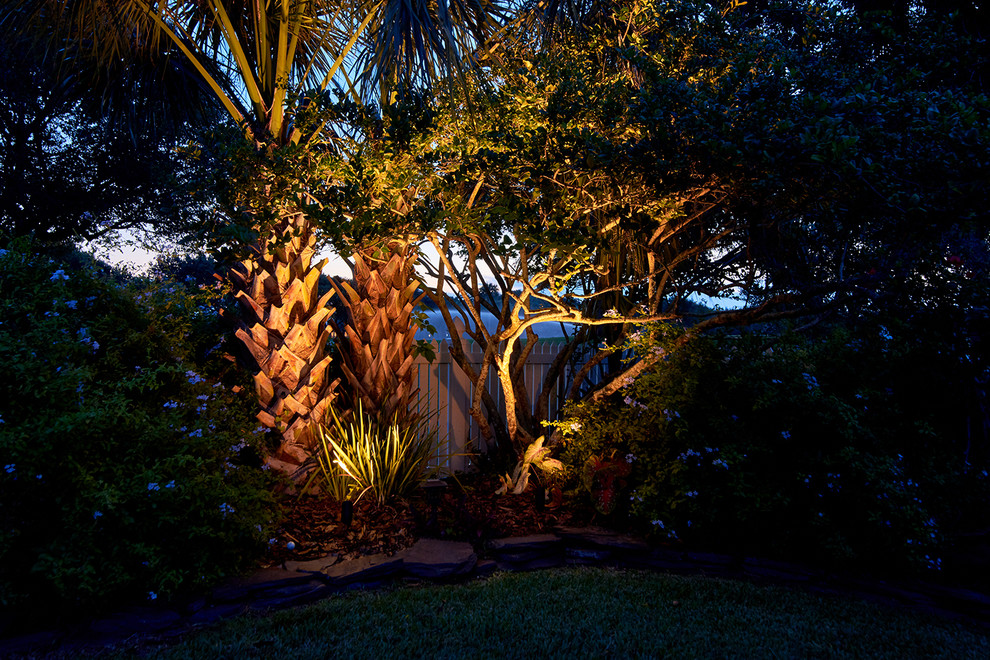 Foto di un giardino formale tropicale di medie dimensioni e dietro casa con pacciame