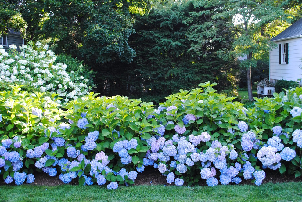 Photo of a large traditional partial sun backyard mulch garden path in New York.