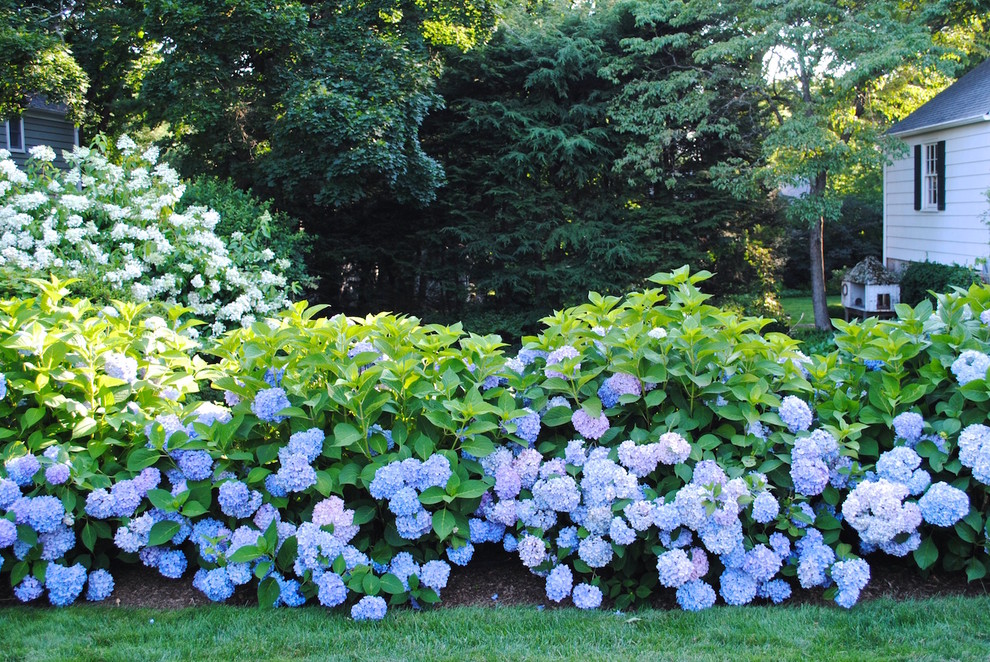 На фото: большой участок и сад на заднем дворе в классическом стиле с садовой дорожкой или калиткой, полуденной тенью и мульчированием с