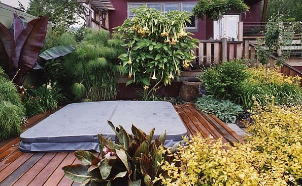 Design ideas for a bohemian garden in San Francisco.