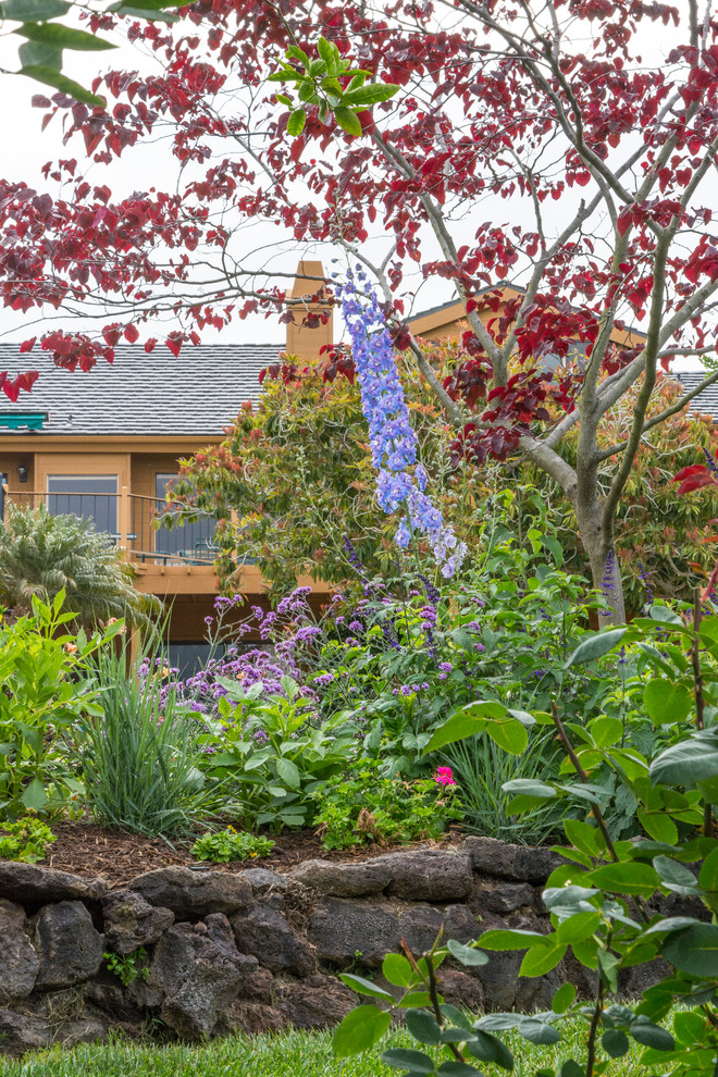 На фото: засухоустойчивый сад на заднем дворе в классическом стиле с полуденной тенью с