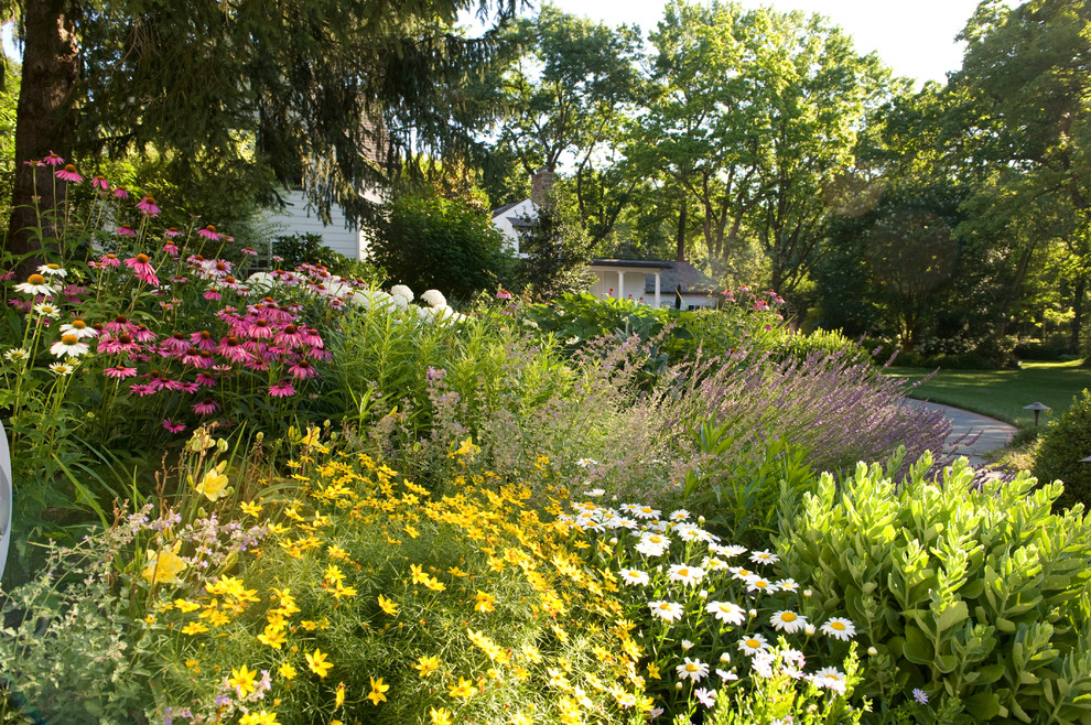 Пример оригинального дизайна: солнечный регулярный сад среднего размера на переднем дворе в стиле рустика с садовой дорожкой или калиткой и хорошей освещенностью