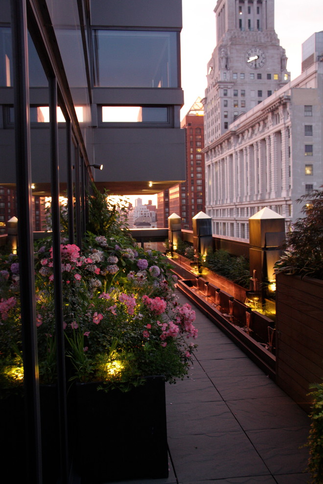 Gotham Rooftop Modern Landscape Jacksonville by TEMPLE VINES