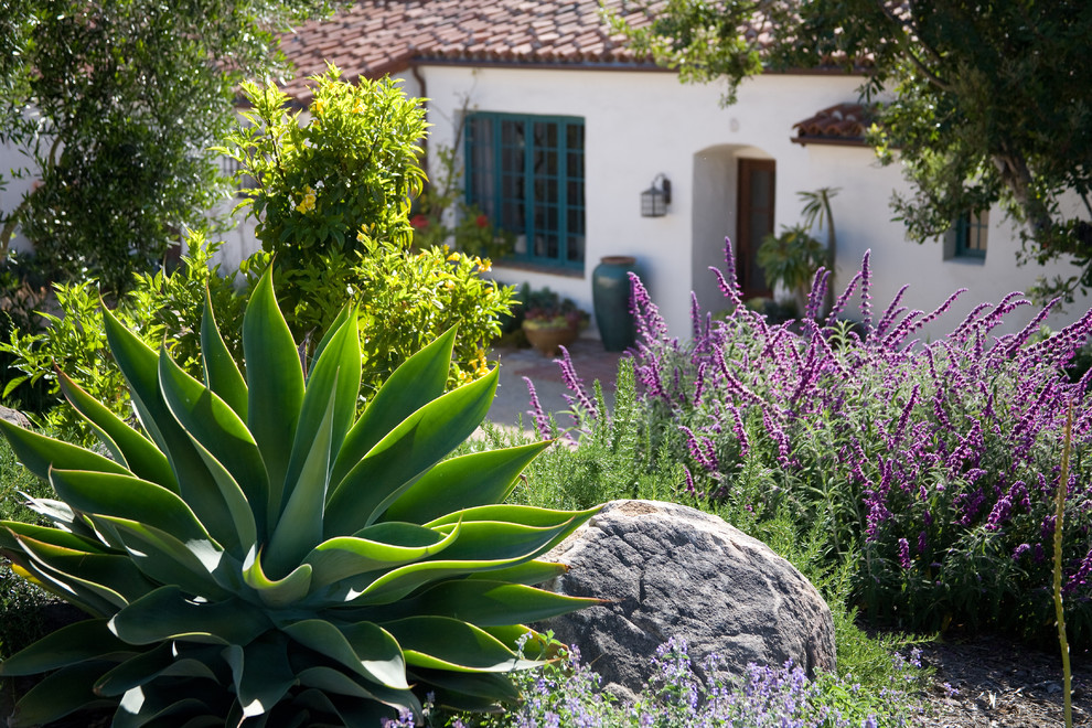 Large mediterranean front garden in Santa Barbara with gravel.
