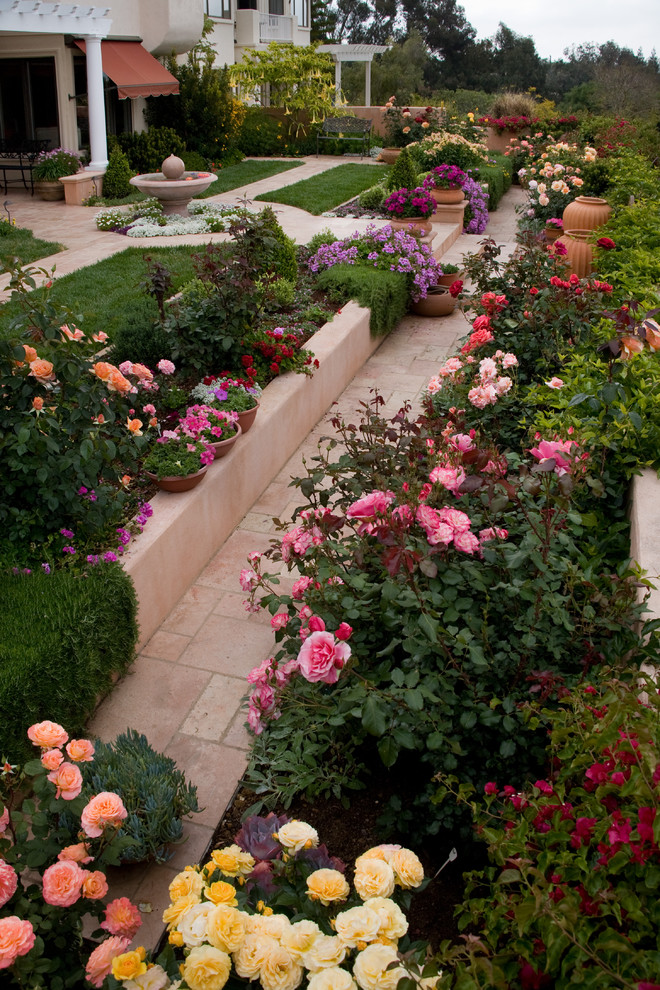 サンタバーバラにある小さなトラディショナルスタイルのおしゃれな整形庭園の写真