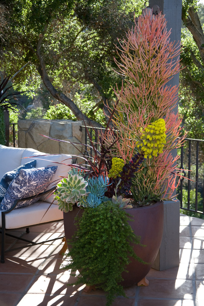 This is an example of a mediterranean landscaping in Santa Barbara.