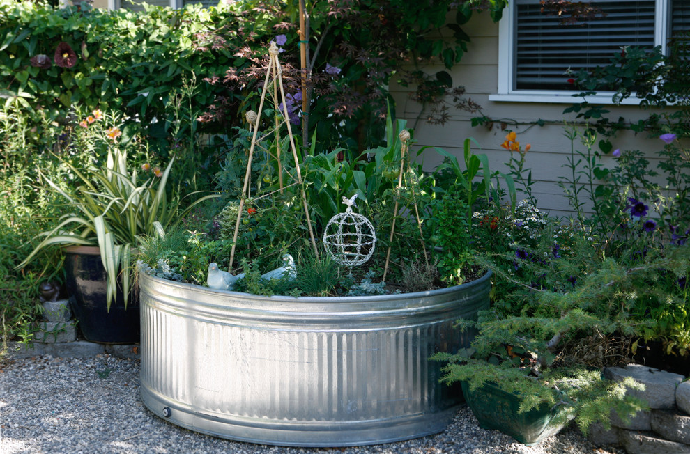 Idee per un giardino classico dietro casa con un giardino in vaso e ghiaia