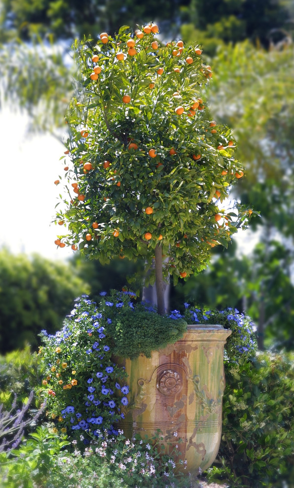 Klassischer Garten in Santa Barbara