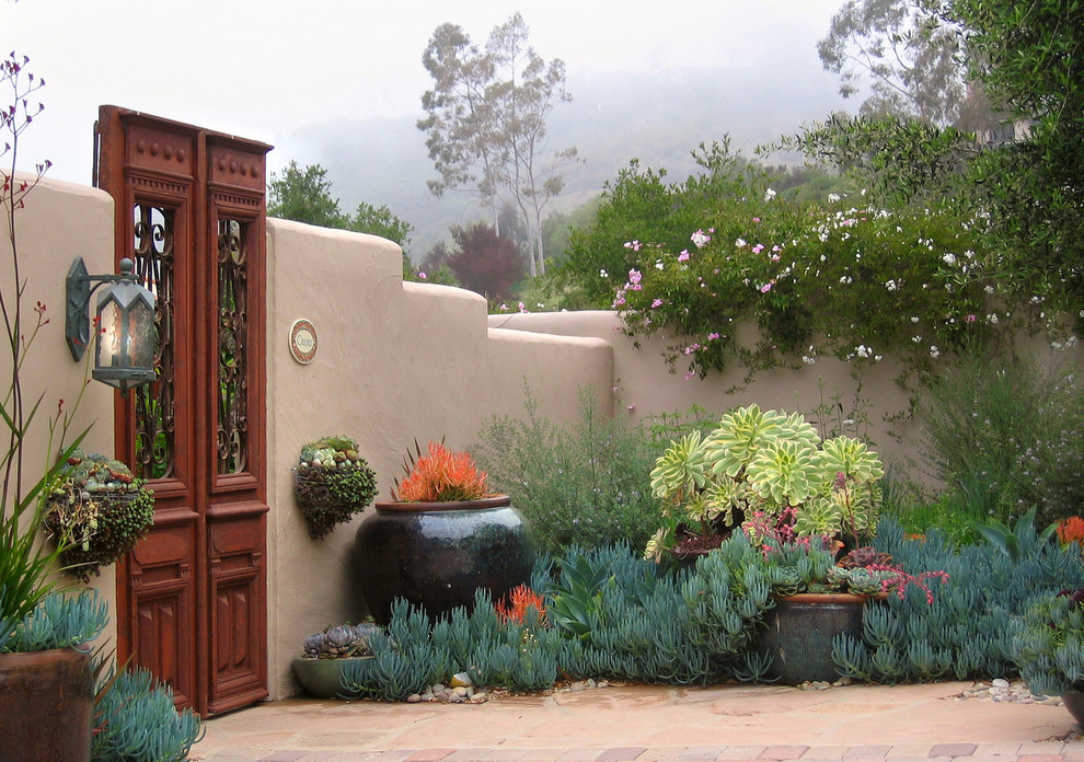 Mediterraner Garten mit Kübelpflanzen und direkter Sonneneinstrahlung in Santa Barbara