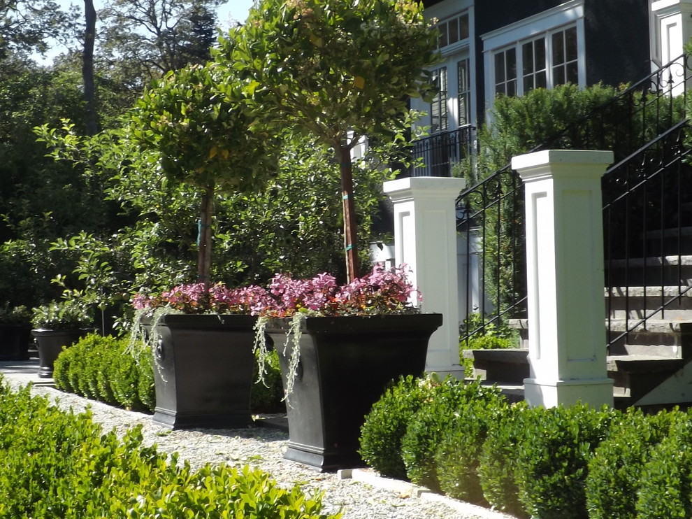 Свежая идея для дизайна: большой солнечный, летний регулярный сад на заднем дворе в стиле кантри с садовой дорожкой или калиткой, хорошей освещенностью и покрытием из гравия - отличное фото интерьера