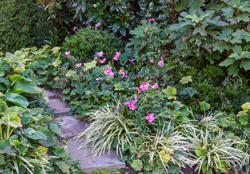 Modelo de jardín actual pequeño en verano en patio trasero con jardín de macetas, exposición total al sol y adoquines de piedra natural