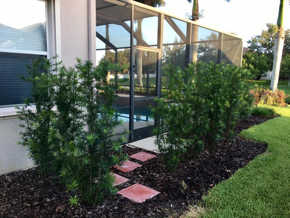 Design ideas for a medium sized world-inspired back garden in Orlando.
