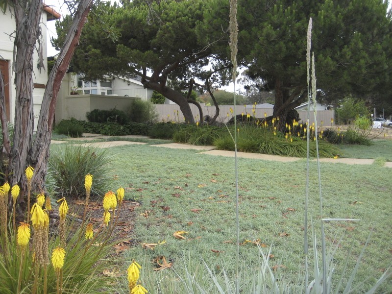 Eklektischer Garten in San Luis Obispo