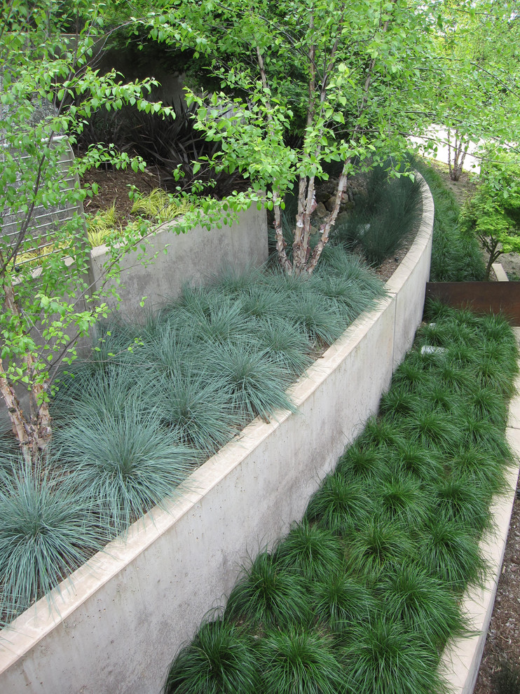 Cette image montre un jardin design avec un mur de soutènement.