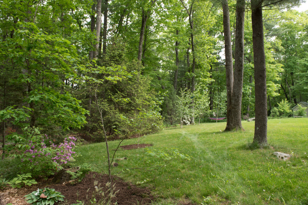 Foto di un giardino xeriscape country esposto a mezz'ombra di medie dimensioni e dietro casa