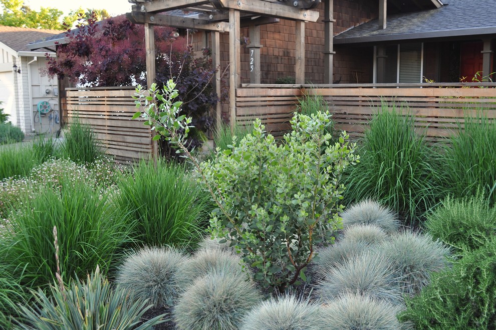 This is an example of a world-inspired front garden in San Francisco.