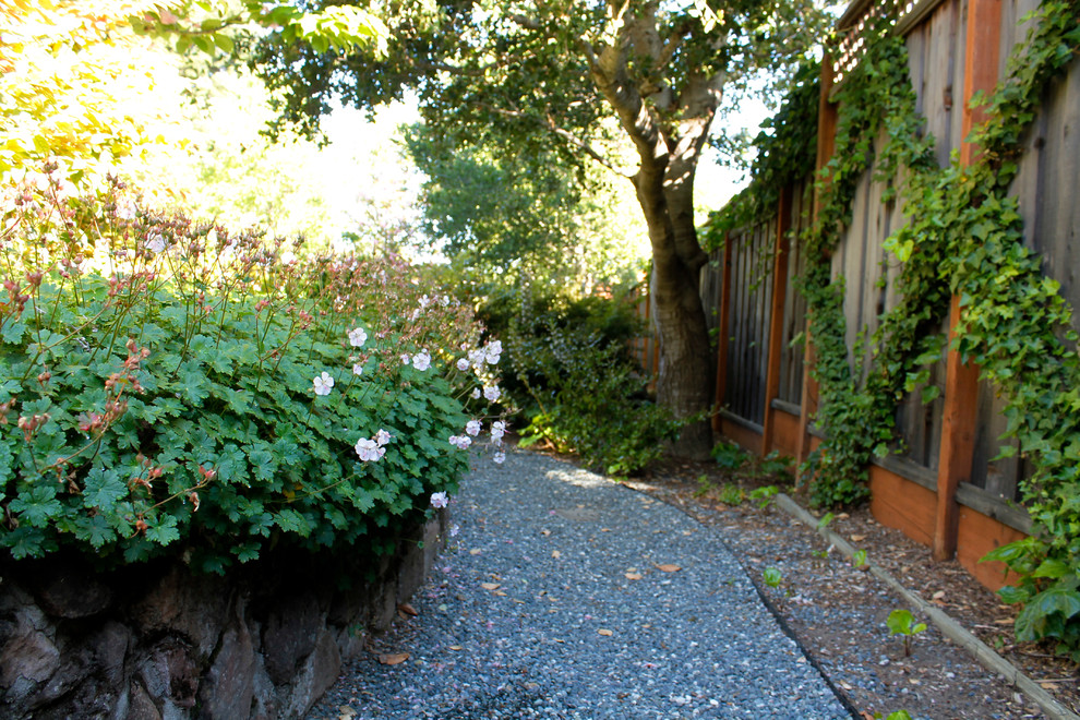 Gravel Pathway Traditional Landscape San Francisco By Terra Ferma Landscapes Houzz