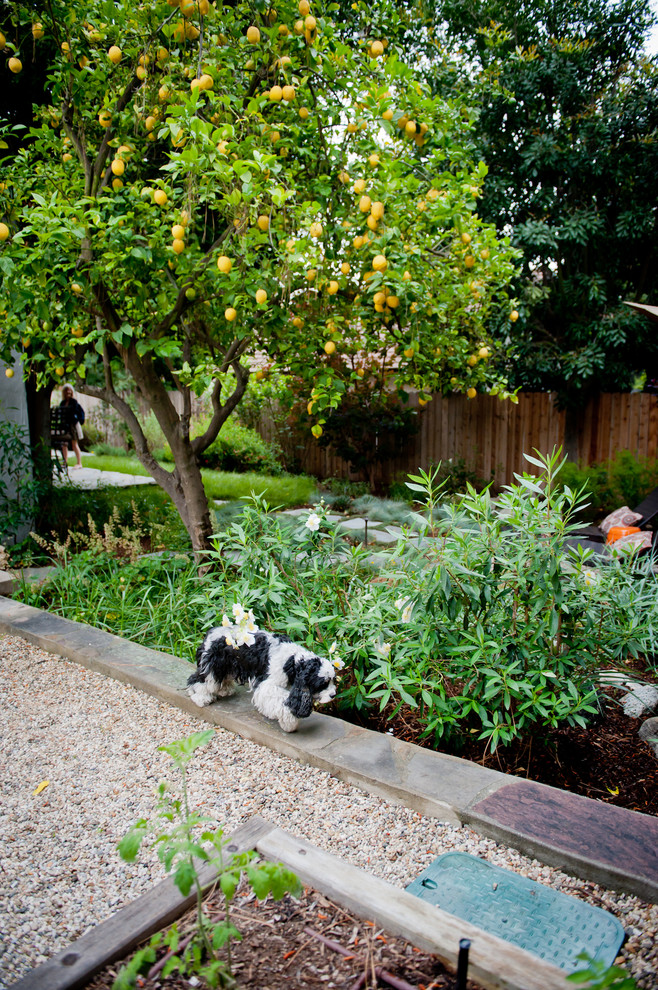 Immagine di un giardino tradizionale esposto in pieno sole dietro casa in primavera con pavimentazioni in pietra naturale