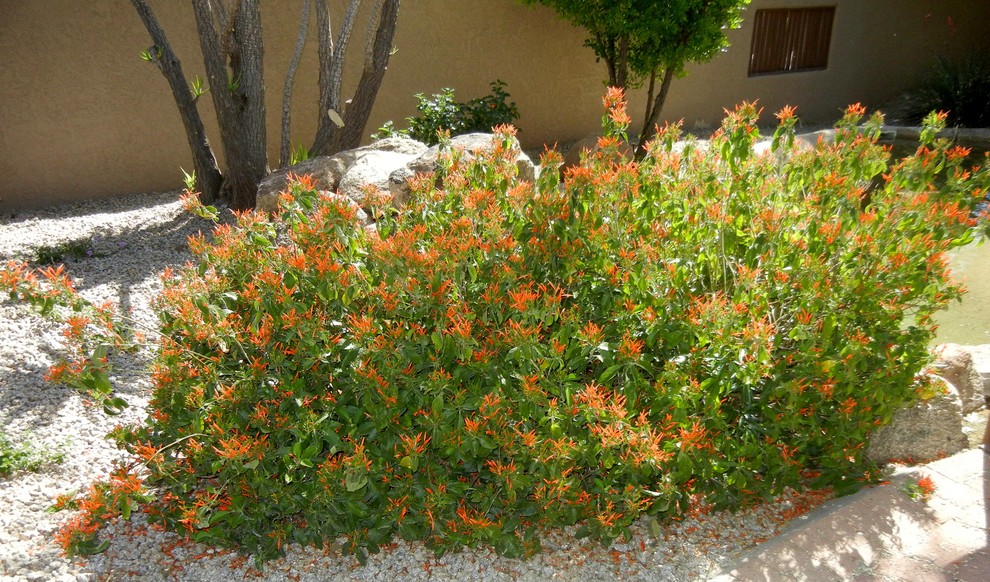 This is an example of a landscaping in Other.