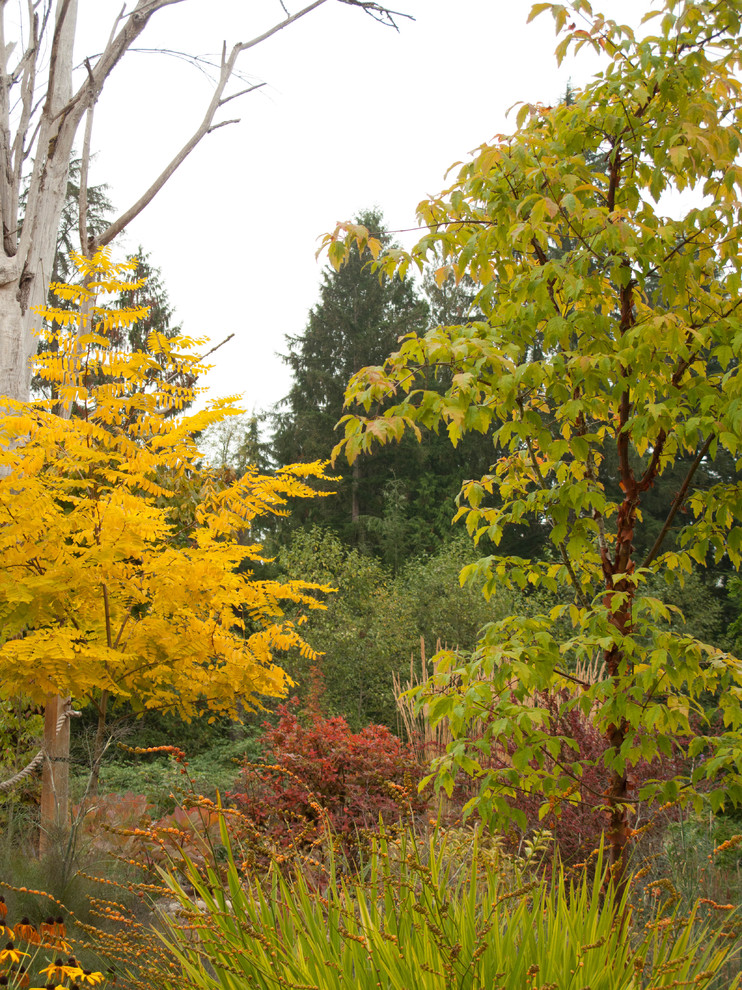 シアトルにある秋のトラディショナルスタイルのおしゃれな裏庭の写真