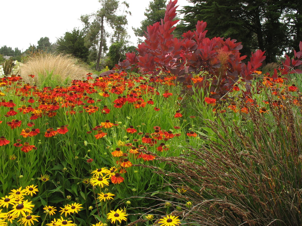 This is an example of a traditional landscaping in San Francisco.