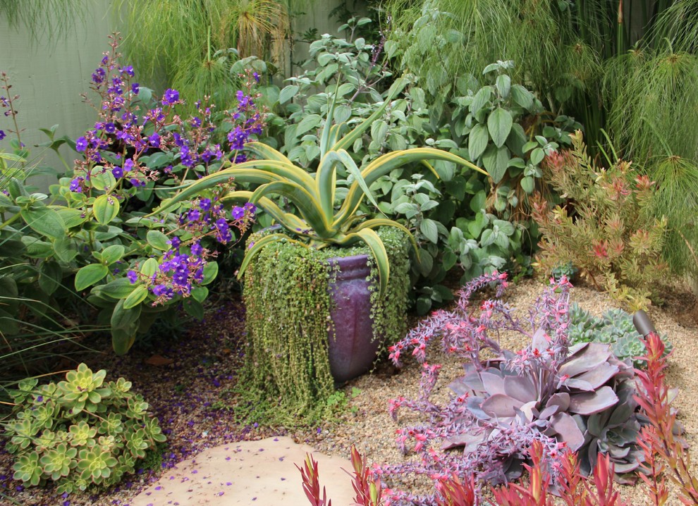 На фото: засухоустойчивый сад на заднем дворе в современном стиле с