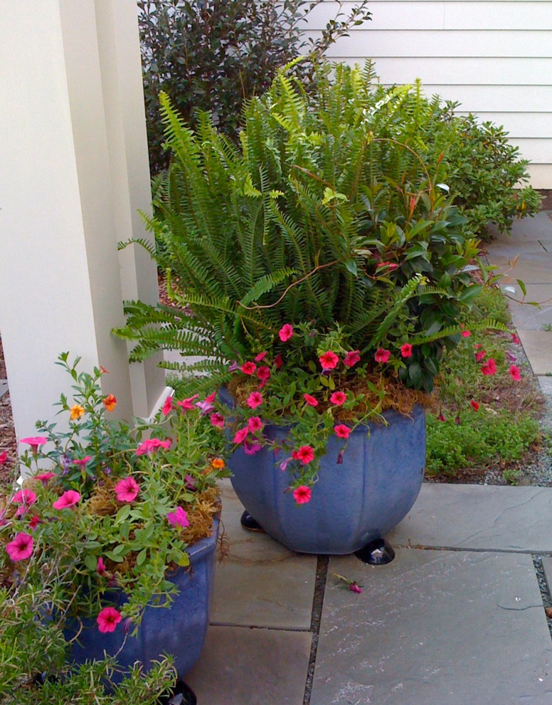 Immagine di un grande giardino classico esposto a mezz'ombra dietro casa in estate con un giardino in vaso e pavimentazioni in pietra naturale