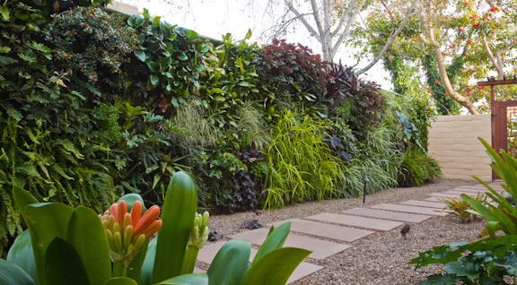 Exemple d'un jardin latéral tendance avec du gravier.