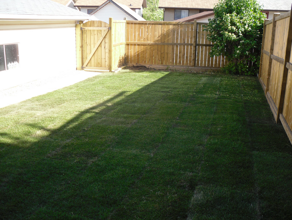 Photo of a large partial sun backyard landscaping in Calgary.