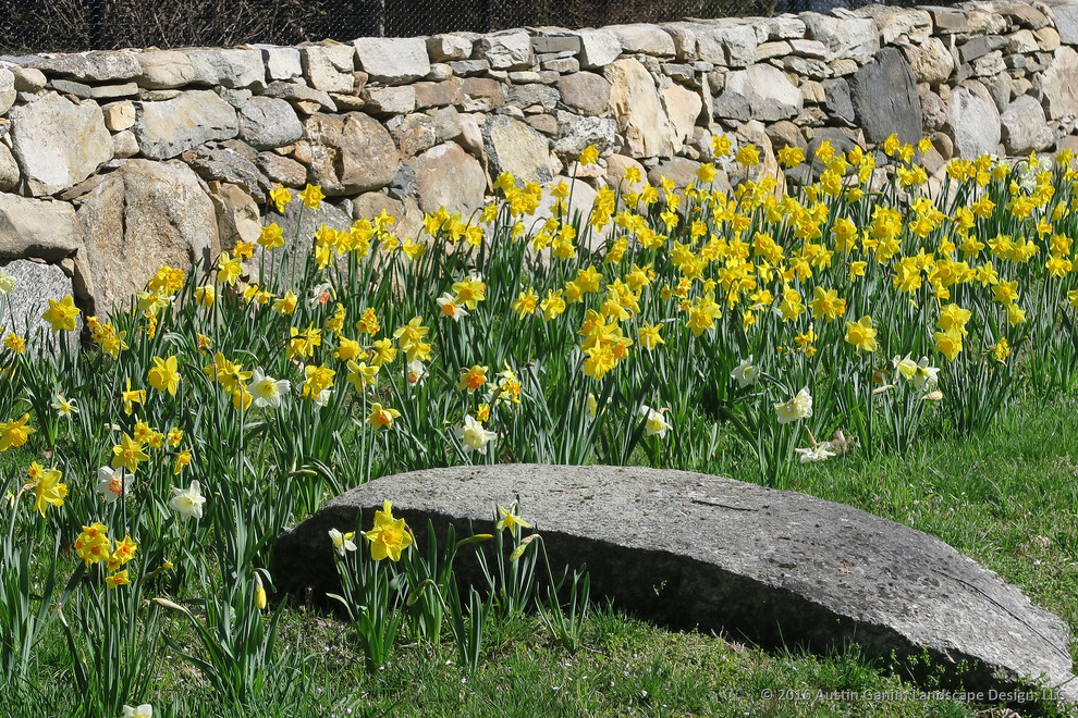 Idee per un giardino tradizionale esposto a mezz'ombra in primavera