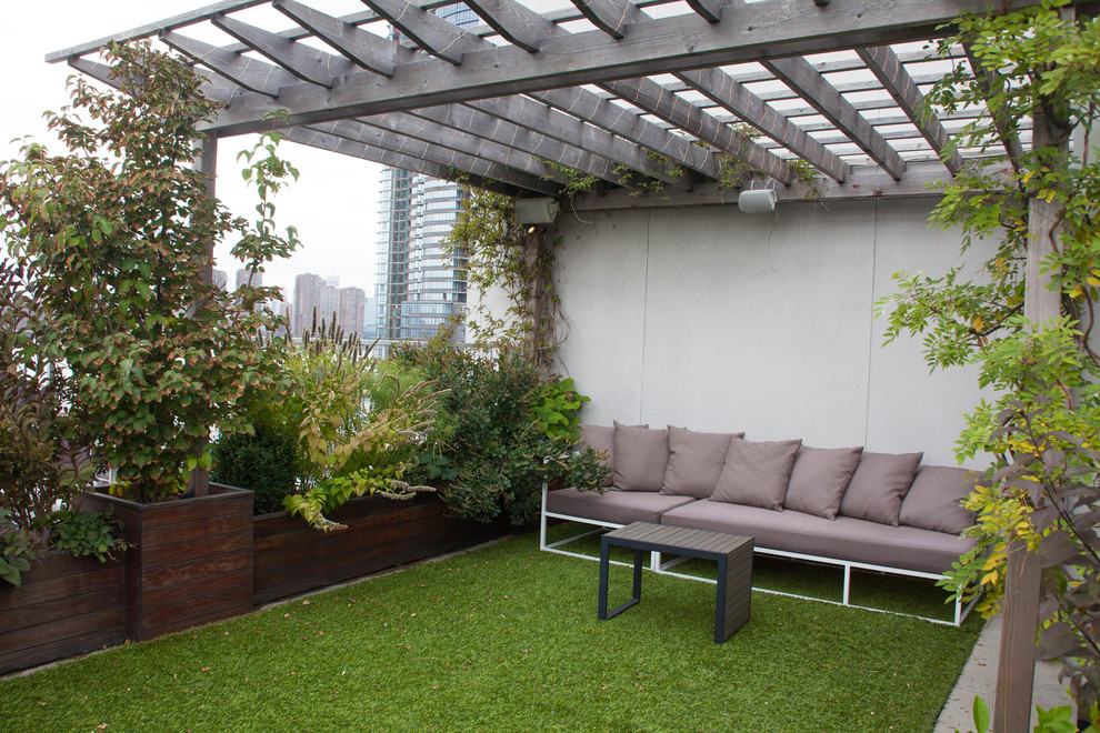 Kleiner, Halbschattiger Moderner Dachgarten in New York