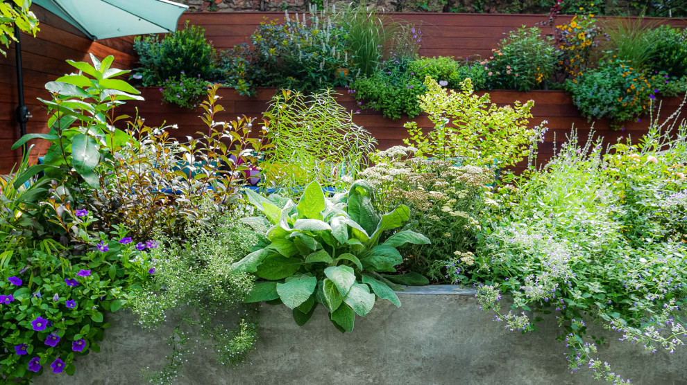 Modelo de jardín contemporáneo pequeño en patio trasero con privacidad, exposición total al sol y entablado