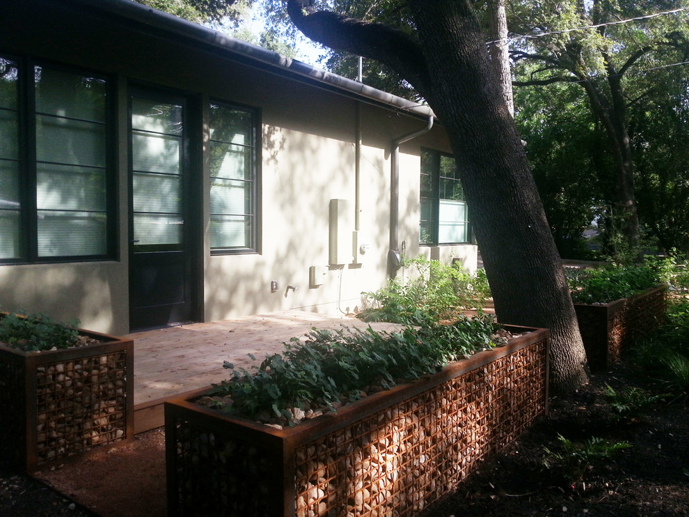 Design ideas for a mid-sized contemporary shade front yard landscaping in Austin.