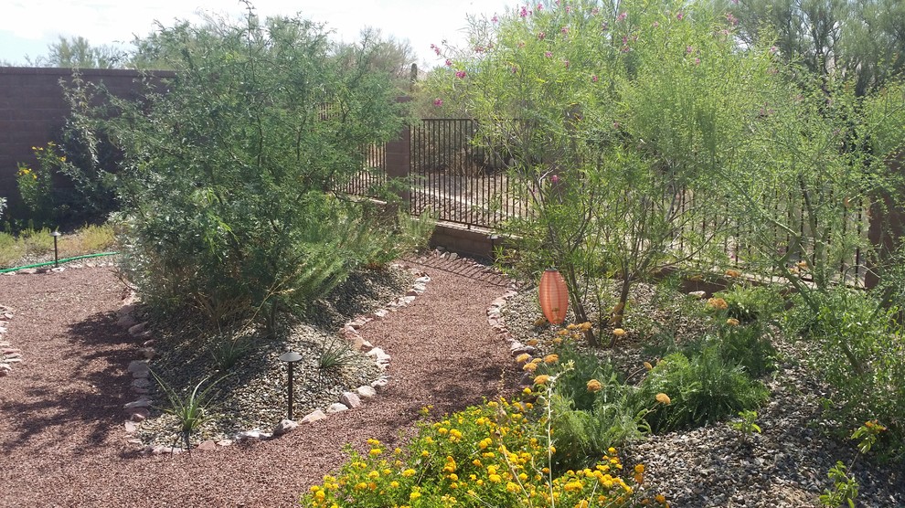 На фото: солнечный засухоустойчивый сад среднего размера на заднем дворе в стиле фьюжн с хорошей освещенностью и покрытием из каменной брусчатки