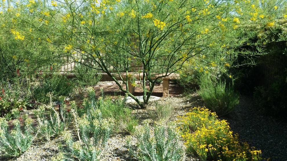 Foto di un giardino xeriscape minimal esposto in pieno sole di medie dimensioni e dietro casa con pavimentazioni in pietra naturale