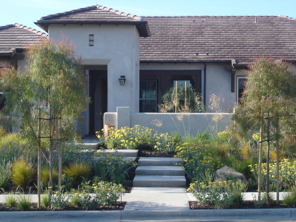 This is an example of a contemporary front yard landscaping in San Luis Obispo.