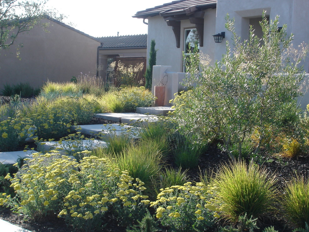 Design ideas for a contemporary front yard landscaping in San Luis Obispo.