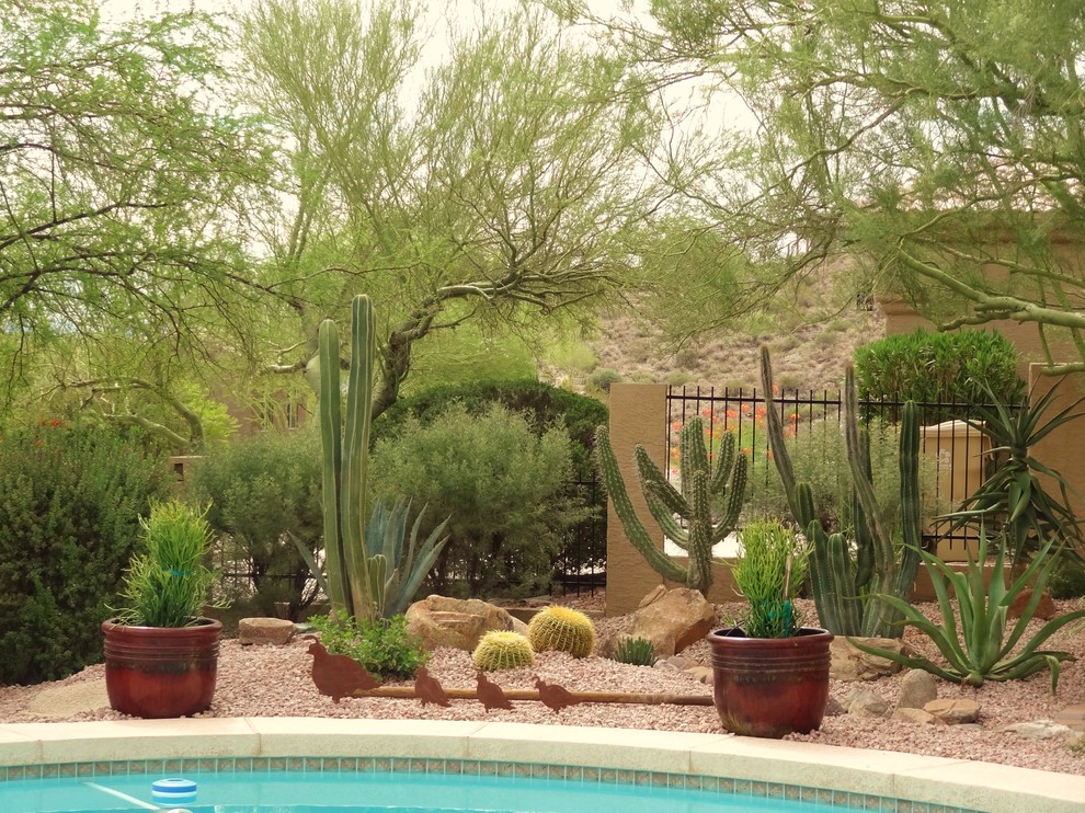 Design ideas for a southwestern drought-tolerant landscaping in Phoenix.