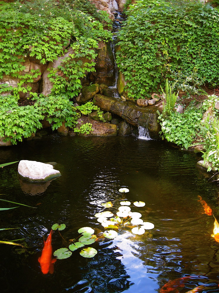 Exemple d'un jardin chic avec un point d'eau.