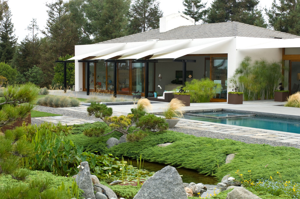 Modelo de jardín minimalista en patio trasero con fuente