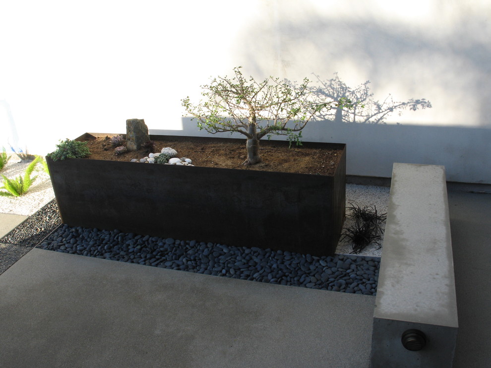 Inspiration pour un jardin minimaliste.