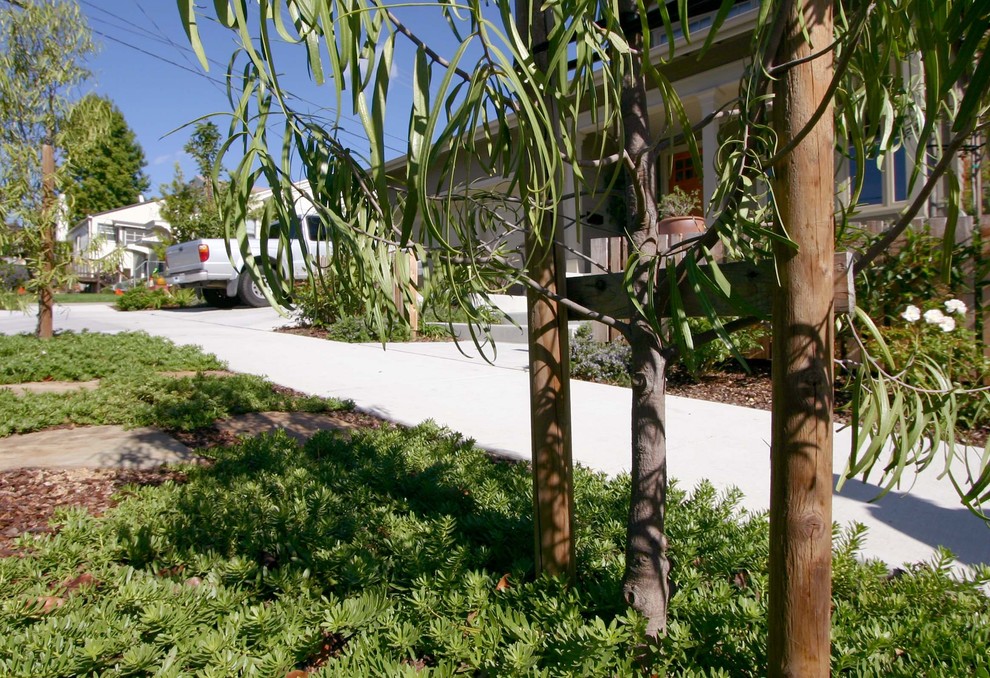 Design ideas for a mediterranean landscaping in San Luis Obispo.
