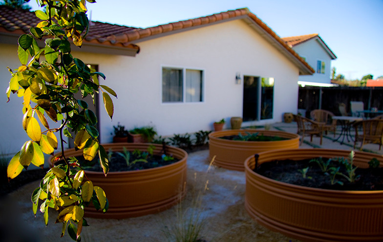 This is an example of a world-inspired garden in San Diego.