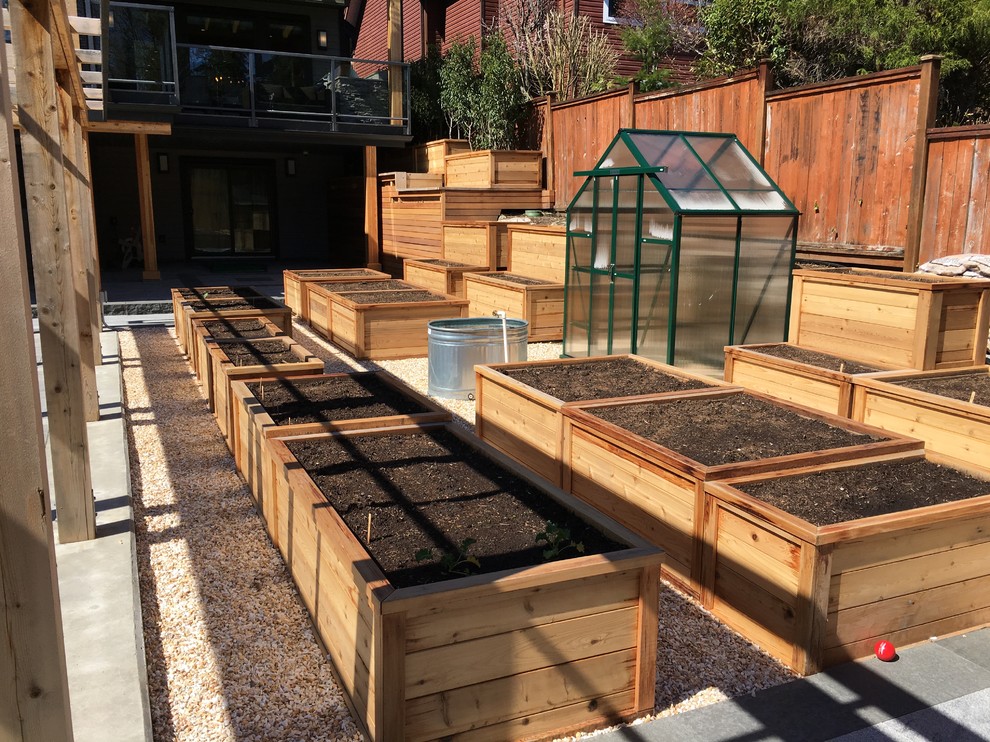 Idéer för att renovera en stor funkis bakgård i full sol, med en köksträdgård och grus
