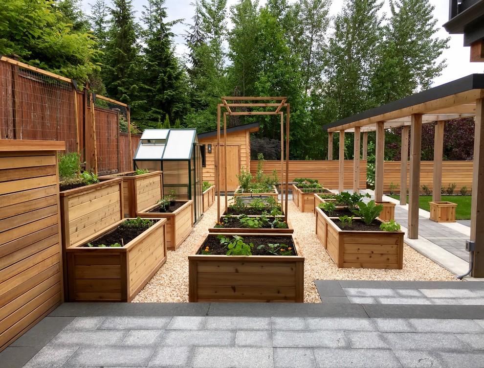 Photo of a large farmhouse back formal full sun garden in Vancouver with a vegetable patch and gravel.