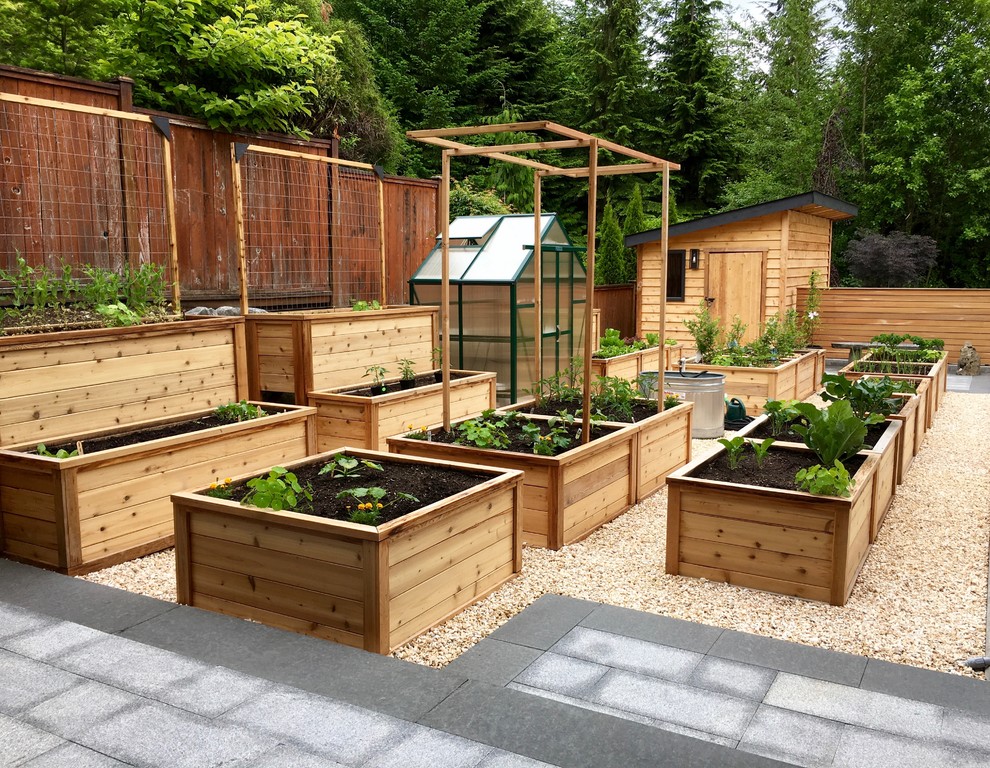 Photo of a large contemporary full sun backyard gravel vegetable garden landscape in Vancouver.