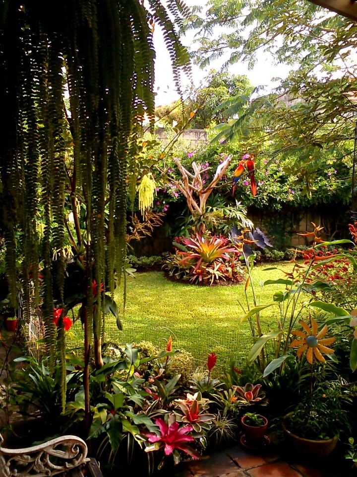 Ispirazione per un giardino tropicale